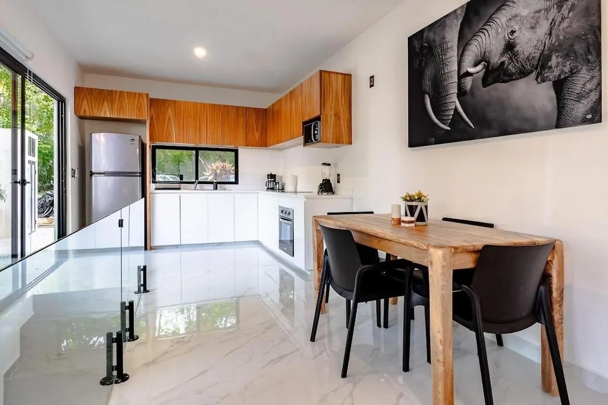 Apartment Magnificent Villa One Block From Playacar Beach Playa del Carmen Mexiko