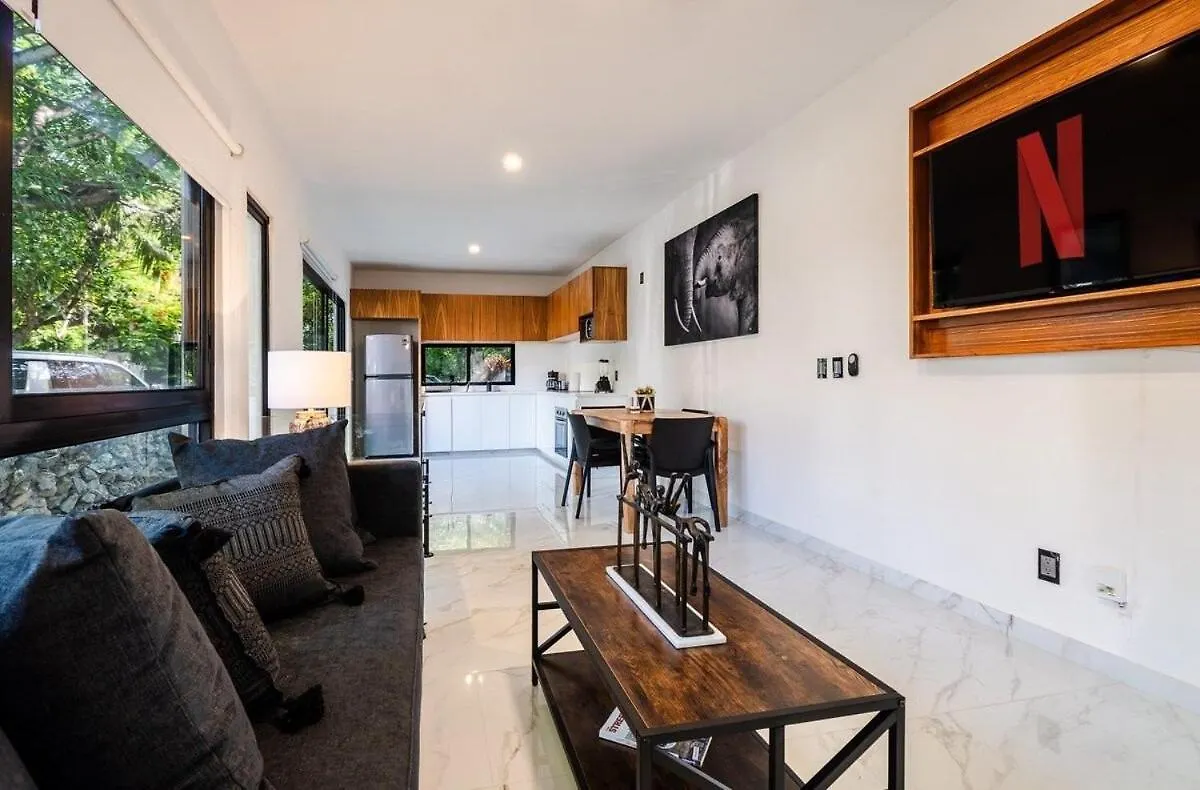 Magnificent Villa One Block From Playacar Beach Playa del Carmen Apartment