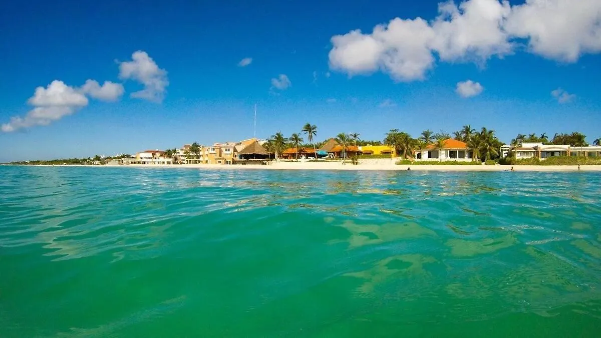 Apartment Magnificent Villa One Block From Playacar Beach Playa del Carmen